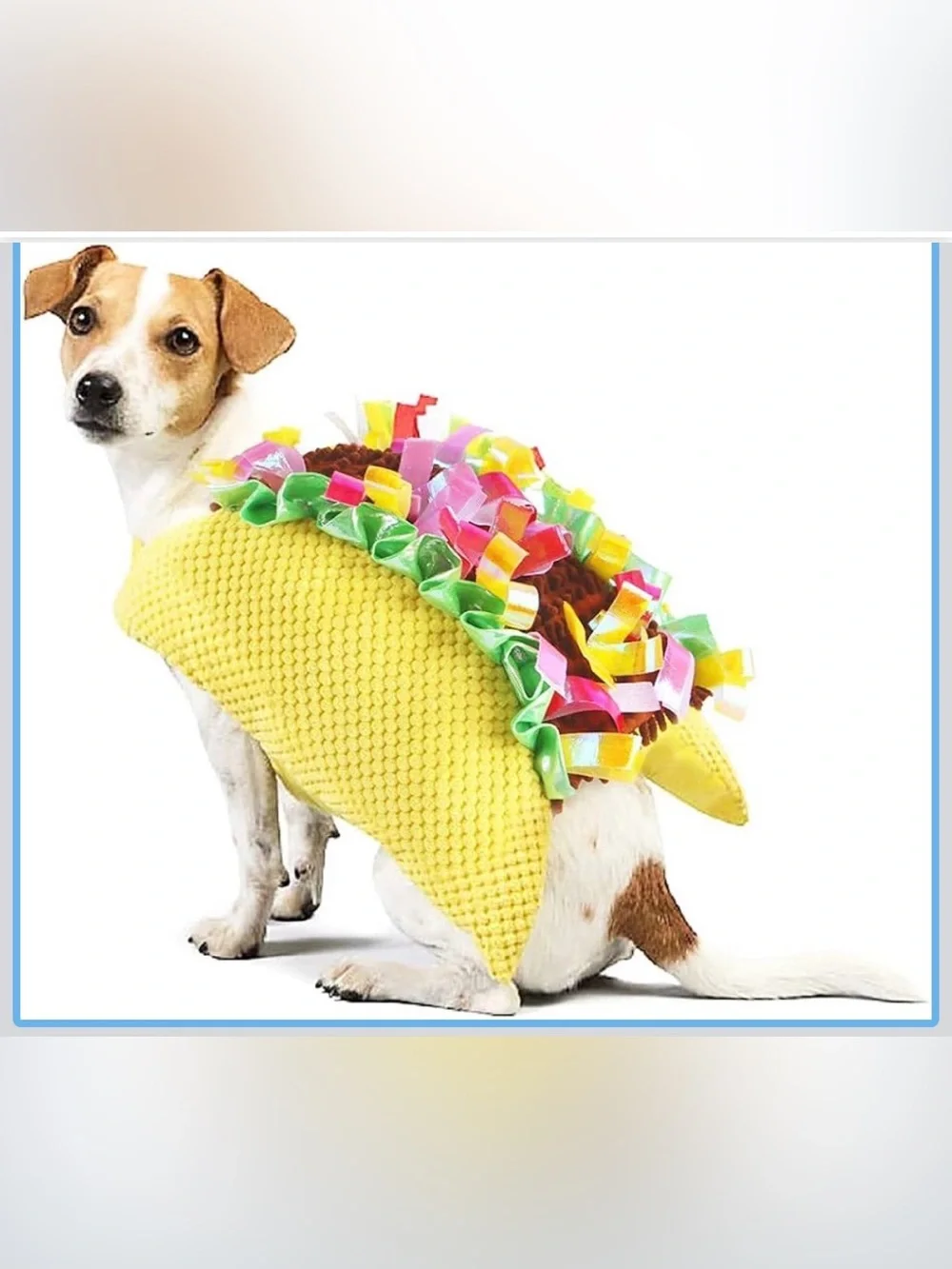 Taco Dog Costume XXL- Pet Costume